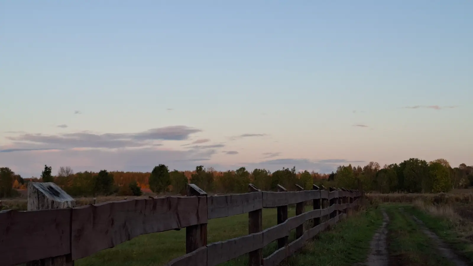Poziome zdjęcie przedstawia wiejski krajobraz o zachodzie słońca z dominującym, drewnianym płotem biegnącym wzdłuż prawej strony kadru. Solidna konstrukcja ogrodzenia z grubych desek prowadzi wzrok widza w stronę linii drzew znajdujących się na horyzoncie. Obok płotu widoczna jest polna, wydeptana ścieżka, która oddziela pastwisko od krawędzi kadru. Niebo nad lasem jest jasne, utrzymane w delikatnych odcieniach błękitu i różu, co sugeruje późne popołudnie lub wczesny wieczór. Kompozycja zdjęcia opiera się na perspektywie zbieżnej, a całe ujęcie emanuje spokojnym, naturalnym klimatem wiejskiej przyrody.